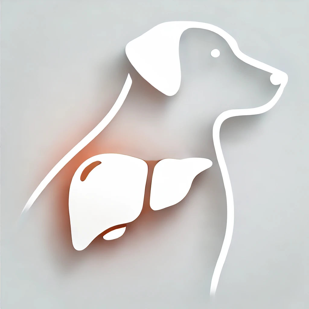 Unveiling the Quiet Intruder: Symptoms of Benign Liver Tumors in Dogs